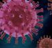 virus-4937553_1920.jpg