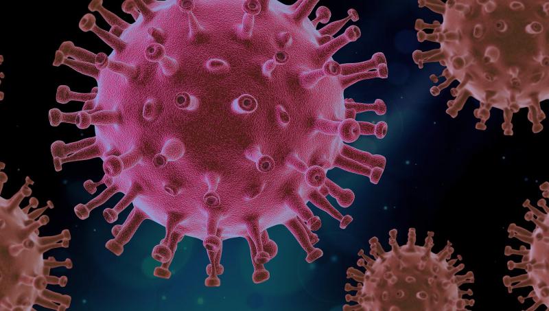virus-4937553_1920.jpg